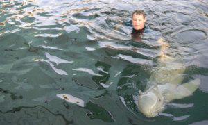 Ocean Mysteries Thailand episode_02_500x300