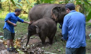 Ocean Mysteries Thailand episode_03_500x300