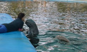 Ocean Mysteries Thailand episode_04_500x300