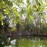 Phanom Sawai Forest Park