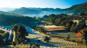 Spectacular Tours at TTM+2017 to explore Thai and Mekong culture