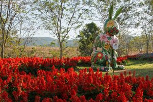 Flora Park Festival 2017
