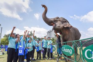 King’s Cup Elephant Polo Tournament