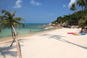 Samui Coco Fest 2017
