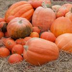 Jim Thompson Farm Tour 2017