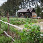 Jim Thompson Farm Tour 2017