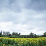 Jim Thompson Farm Tour 2017