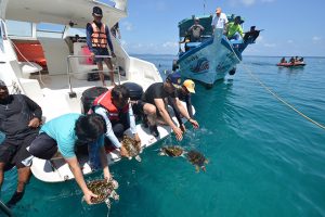 Weerasak Kowsurat leads beach clean-up effort in Chumphon