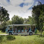 A fruit orchard tour in Rayong - TAT Newsroom