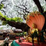 Tourism Authority of Thailand reveals 2019 Songkran increases in tourist revenue