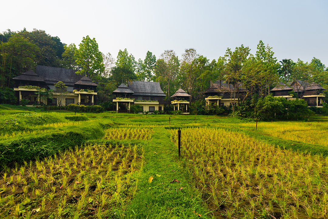 Thai destinations, hotels and resorts perform impressively in ‘The World’s Best Awards 2019’