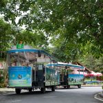 Thai wildlife conservation and animal care efforts are working