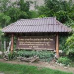 Thai wildlife conservation and animal care efforts are working