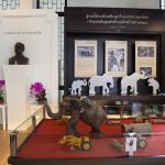 Thai wildlife conservation and animal care efforts are working