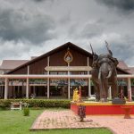 Thai wildlife conservation and animal care efforts are working