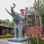 Thai wildlife conservation and animal care efforts are working