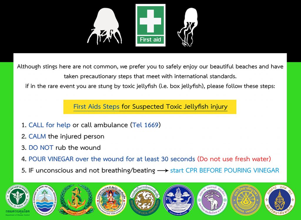 What to do in the case of a jellyfish sting