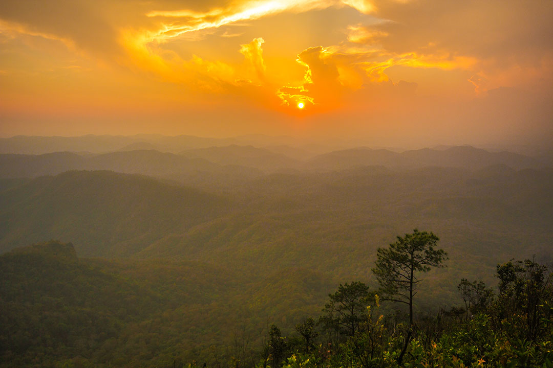 TAT announces five new national parks in Thailand