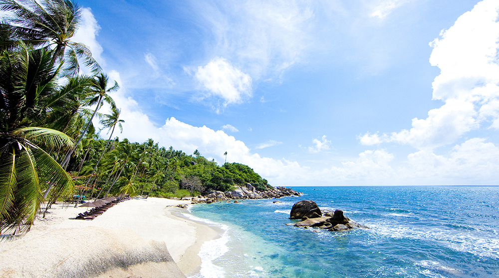 Samui Festival 2019 set to amaze with sports music food and culture