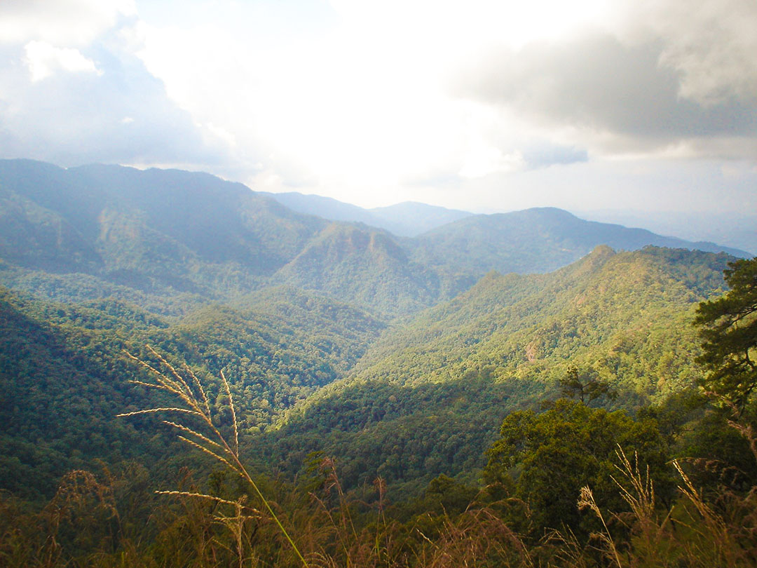 TAT announces five new national parks in Thailand