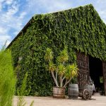 Escape to nature in Nakhon Nayok