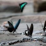 Escape to nature in Nakhon Nayok
