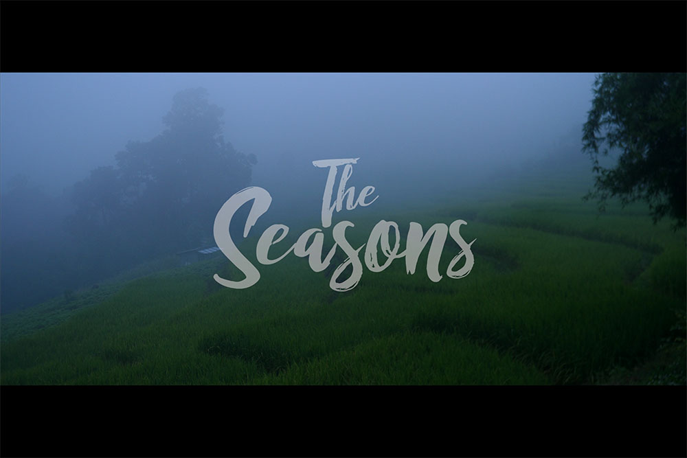 The Seasons Episode 12-Steps of the Paddy Fields