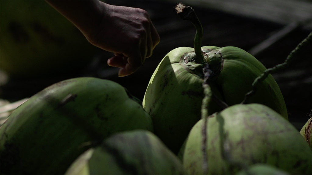 The Unexpected Feeling Episode 3: Coconut Treasure