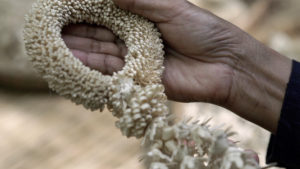 The Unexpected Feeling Episode 4: The Magic of Thai Bamboo
