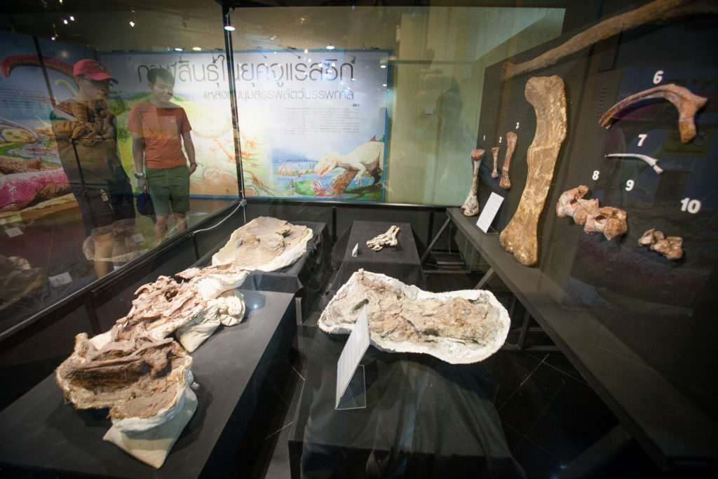 Kalasin – The land of dinosaurs and natural and cultural treasures