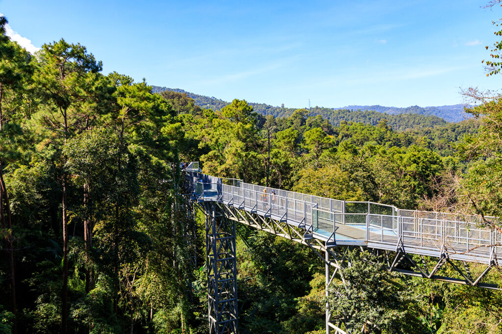 Thailand’s Botanic Gardens reopen today with COVID-19 control measures
