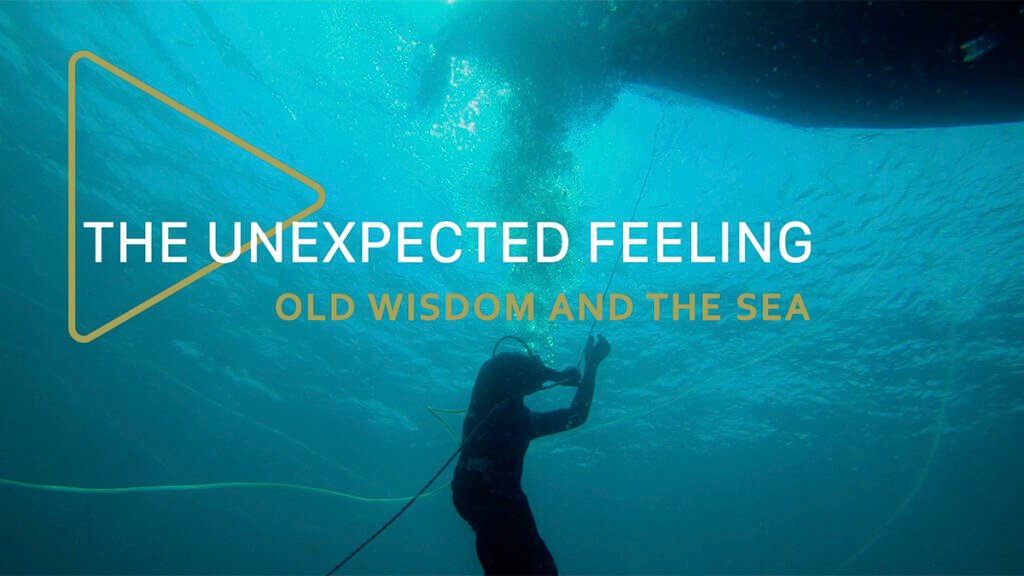 The Unexpected Feeling Episode 8: Old Wisdom and the Sea