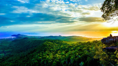 CAAT issues its 3rd notification on conditions for aircraft permission to enter Thailand