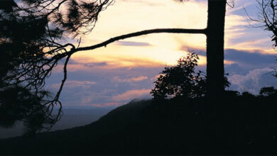 Loei’s natural attractions are a popular drawcard during the cooler months