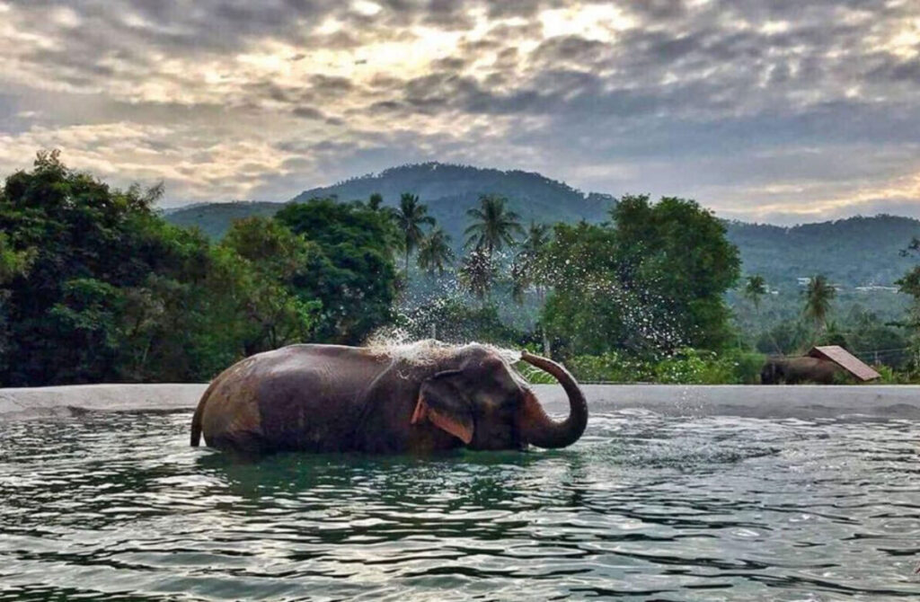 Twelfth Annual Responsible Thailand Awards recognises champions of sustainable travel