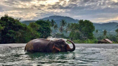 Twelfth Annual Responsible Thailand Awards recognises champions of sustainable travel