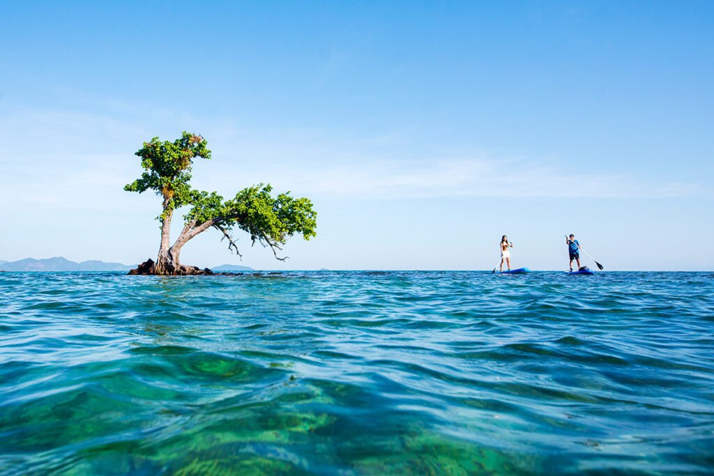 TAT launches “Laughing Island Conqueror vs Low-carbon Footprint Traveller” activity