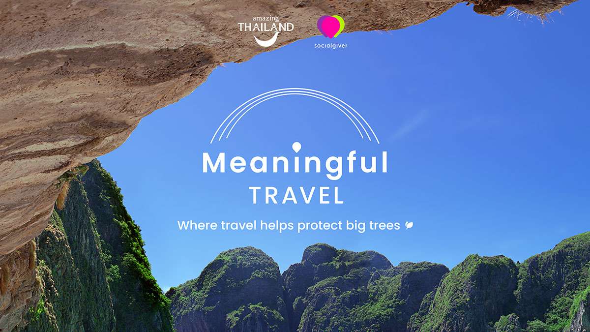 Meaningful Travel Campaign” helps preserve 35,000 big trees in ...