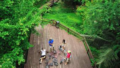 Explore Thai Local Communities through the BCG Lenses