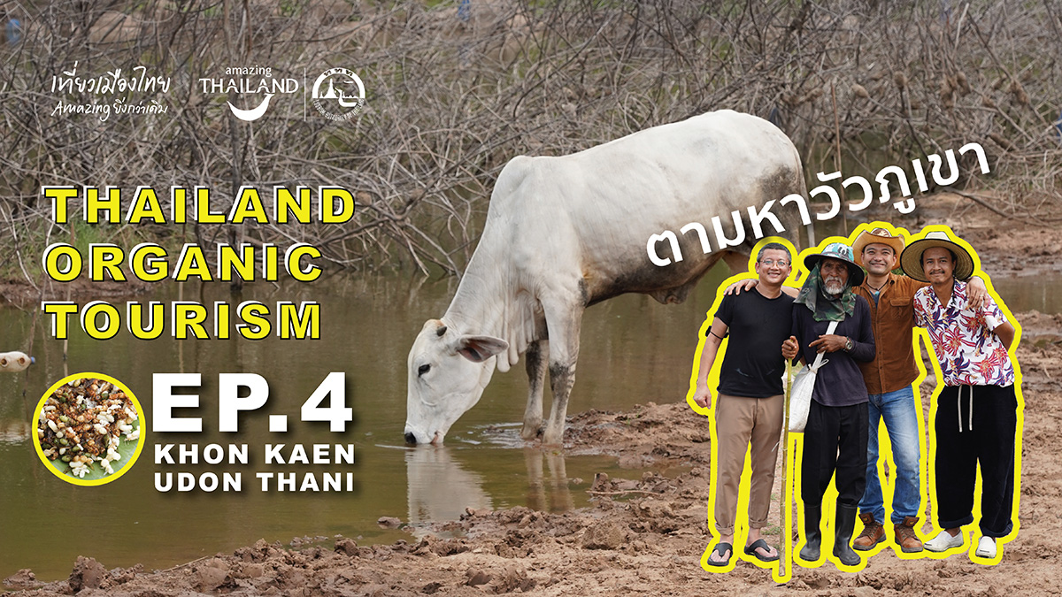 Thailand Organic Tourism EP: 4 KHON KAEN and UDON THANI