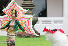 ‘Gingala Lanna Bird Dance’ of Thailand