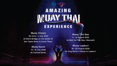 ‘Amazing Muay Thai Experience’ to showcase legendary Thai martial art