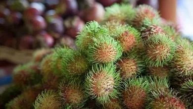 Rambutan