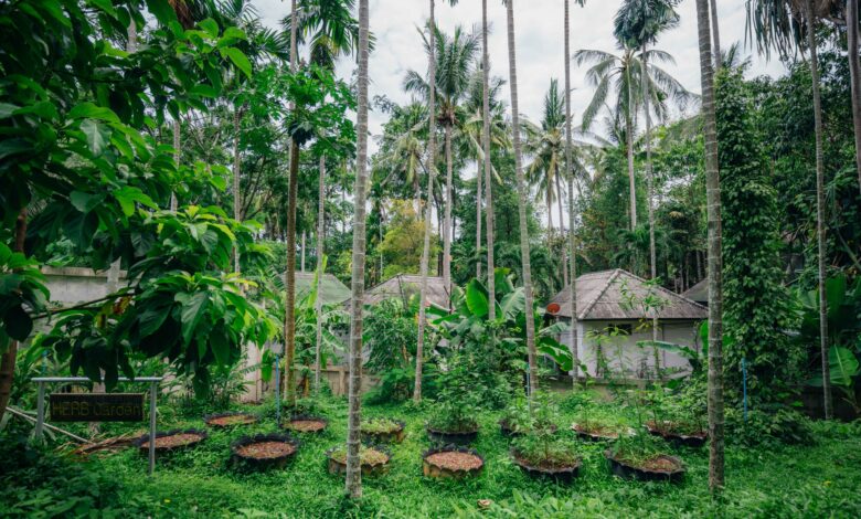 The ‘green’ mastermind behind eco-friendly hotels’ sustainability goals