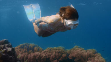 Dive into Happiness: A Freediving Journey in Thailand