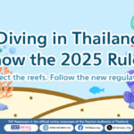 Stricter Regulations for Diving Activities Now in Effect in Thailand