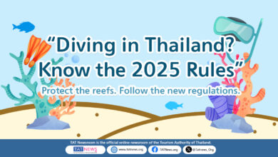 Stricter Regulations for Diving Activities Now in Effect in Thailand