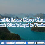 Cannabis Flower Now Strictly Regulated in Thailand – Important Notice for Tourists