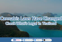 Cannabis Flower Now Strictly Regulated in Thailand – Important Notice for Tourists