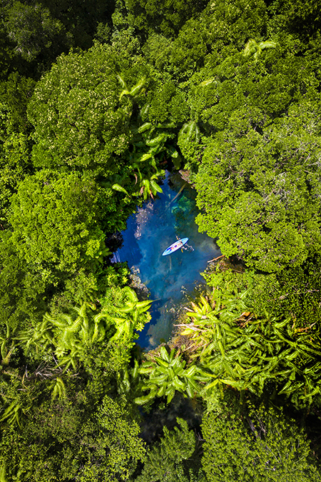Crystal-clear spring water flowing through lush tropical jungle at Khlong Root, Krabi